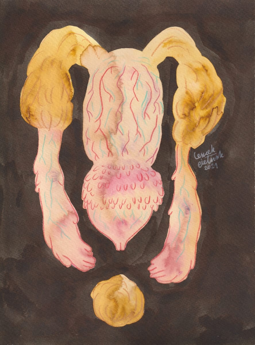 penis-with-pearly-penile-papules-8-2021-nsfw